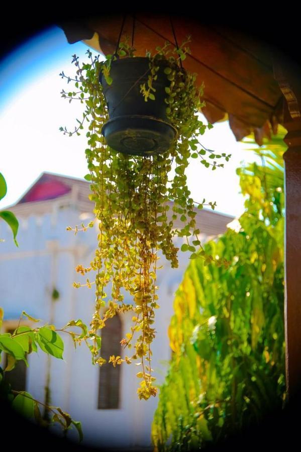 Garden Lodge Sansibar Exterior foto