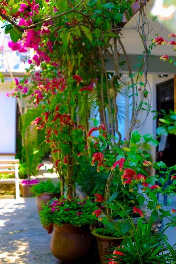 Garden Lodge Sansibar Exterior foto